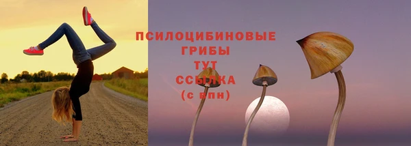 МДПВ Бугульма