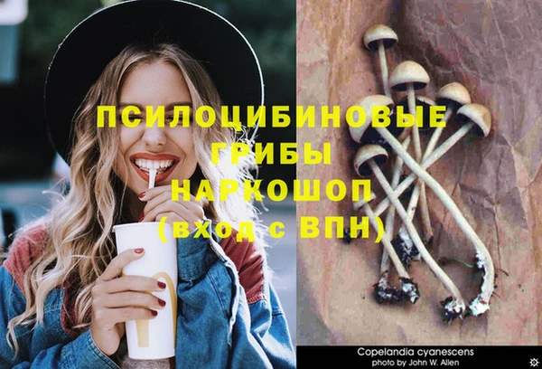 хмурый Бронницы